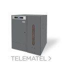 TBIO000136