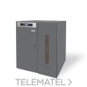 TBIO000137