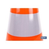 21201005