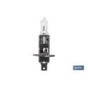 03502401